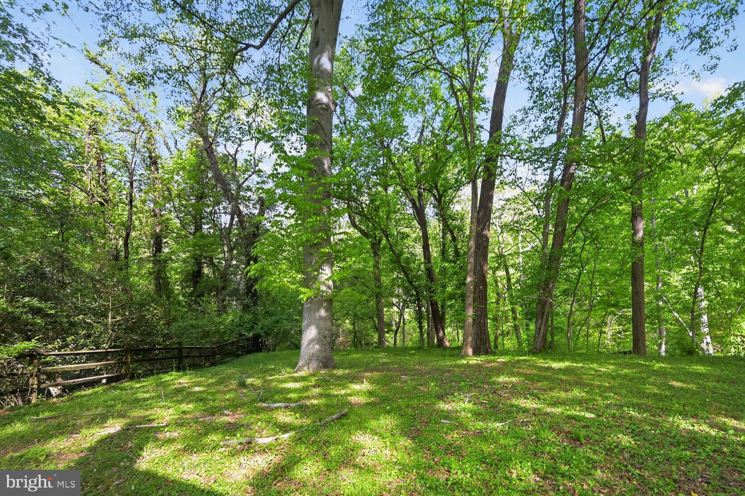 9717 Capitol View Avenue Silver Spring, MD 20910 - Photo 15 of 16