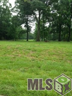 0 Pecos Avenue Baton Rouge, LA 70818 - Photo 2 of 4 Gallery Image 2