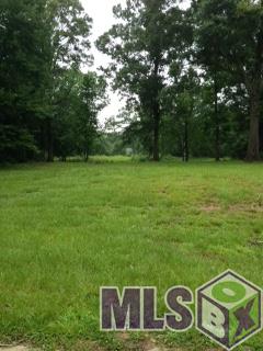 0 Pecos Avenue Baton Rouge, LA 70818 - Photo 3 of 4 Gallery Image 3