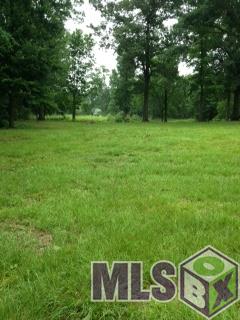 0 Pecos Avenue Baton Rouge, LA 70818 - Photo 4 of 4 Gallery Image 4