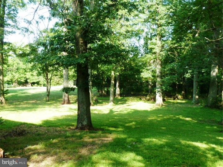 6489 Ferry Road Doylestown, PA 18902 - Photo 22 of 25 Back Yard