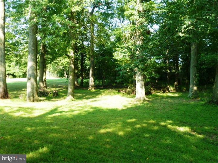 6489 Ferry Road Doylestown, PA 18902 - Photo 25 of 25 Back Yard
