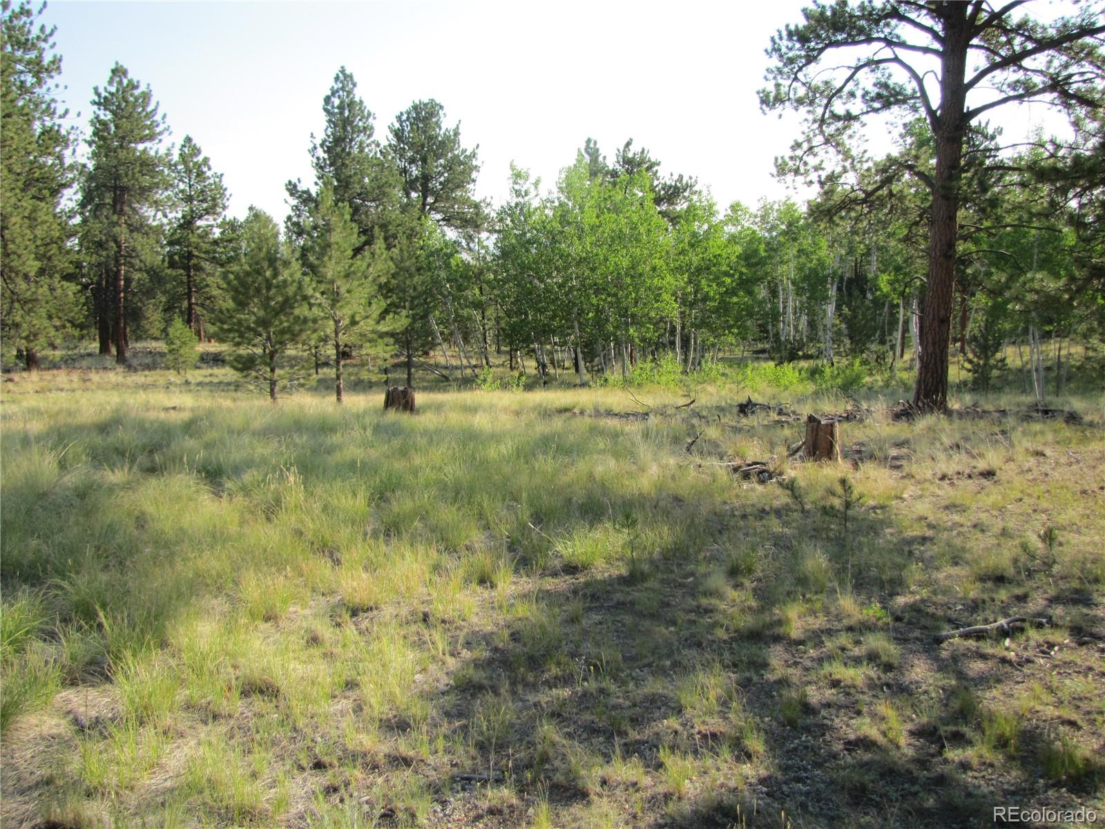 9736 Ranch Road Hartsel, CO 80449 - Photo 15 of 30 Gallery Image 15
