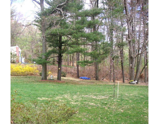 4 Richard Road Canton, MA 02021 - Photo 8 of 8 a view of a volley ball court