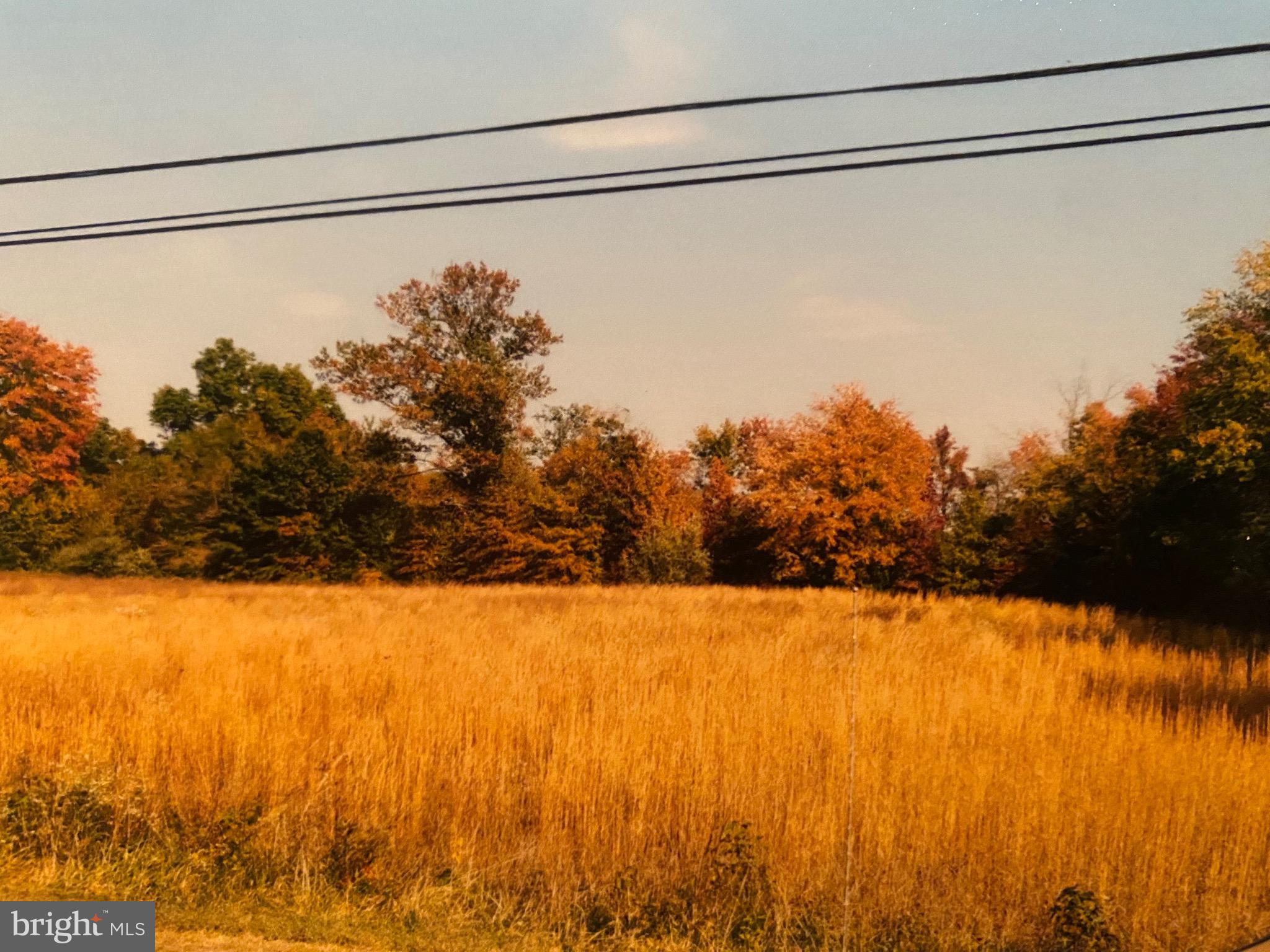 Walnut Street Road Salem, NJ 08079 - Photo 1 of 6
