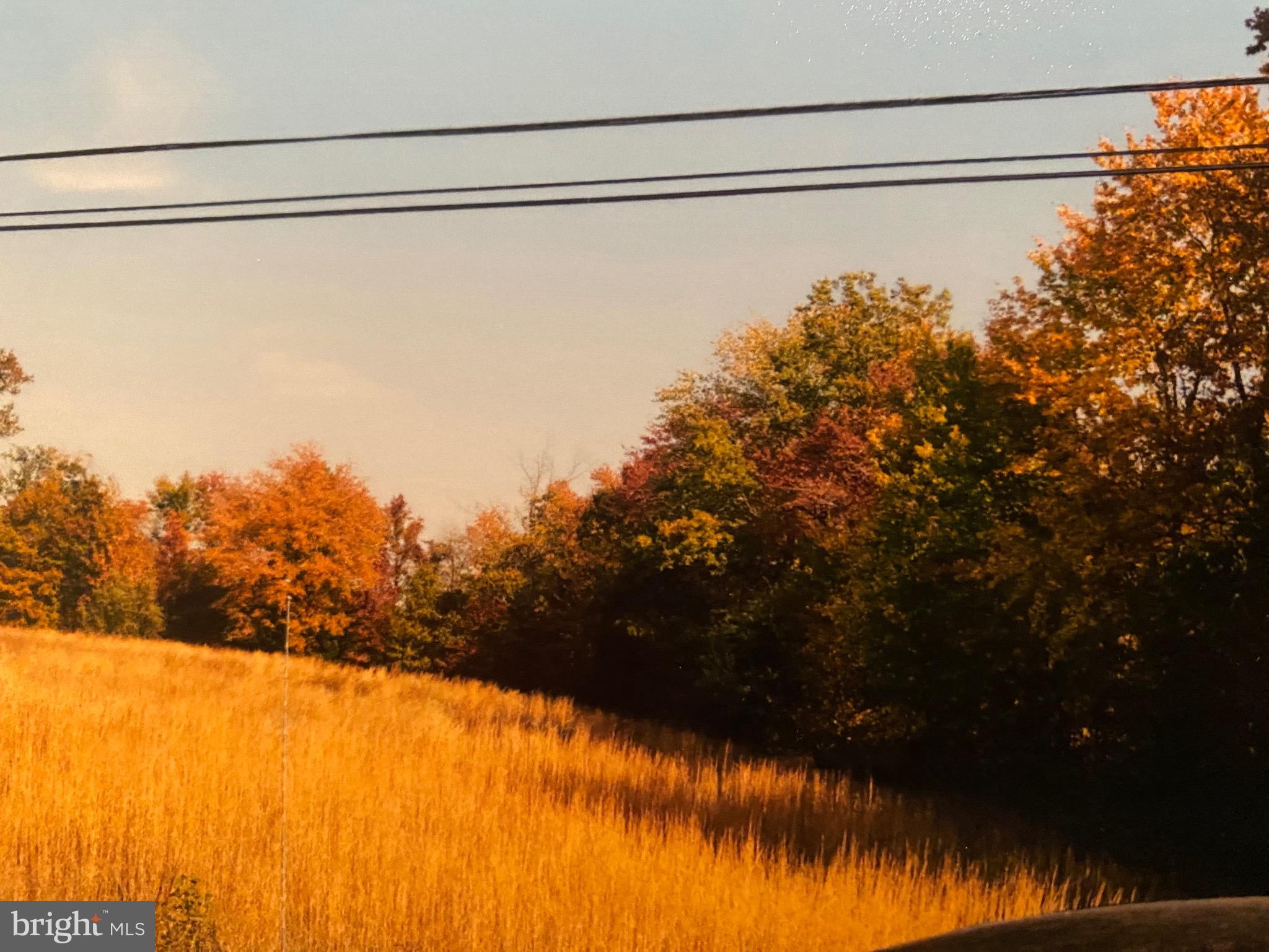 Walnut Street Road Salem, NJ 08079 - Photo 5 of 6