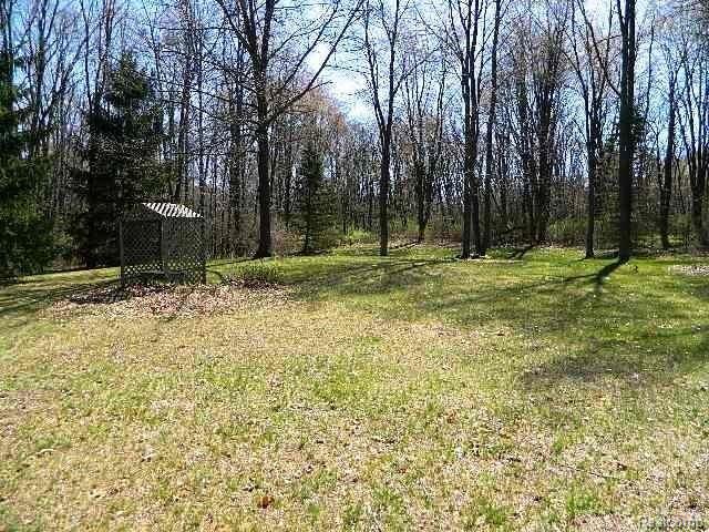 2420 Lannen Road Howell, MI 48855 - Photo 6 of 21 6-BACK YARD - Copy.JPG