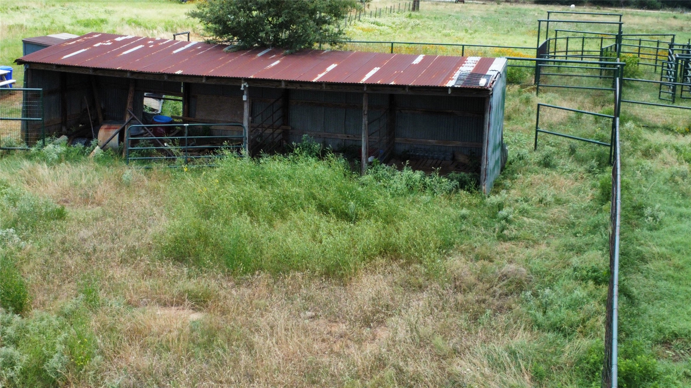 174 Wilson Road, Unit A Elgin, TX 78621 - Photo 7 of 34 a view of house with a yard and potted plants