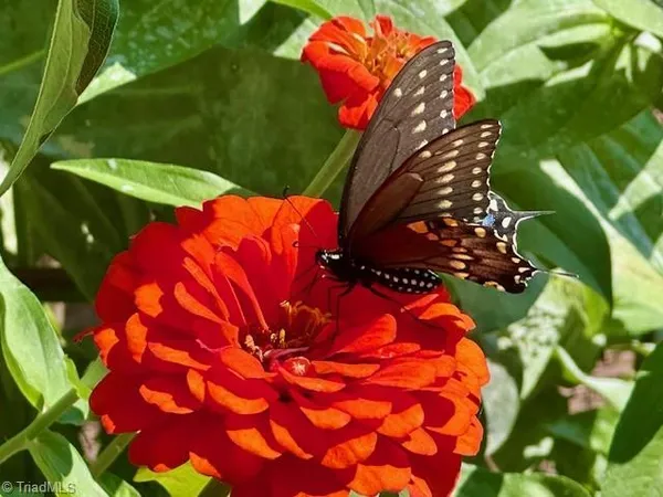 $449,000 | 1124 Hudson Drive, Mebane, NC 27302