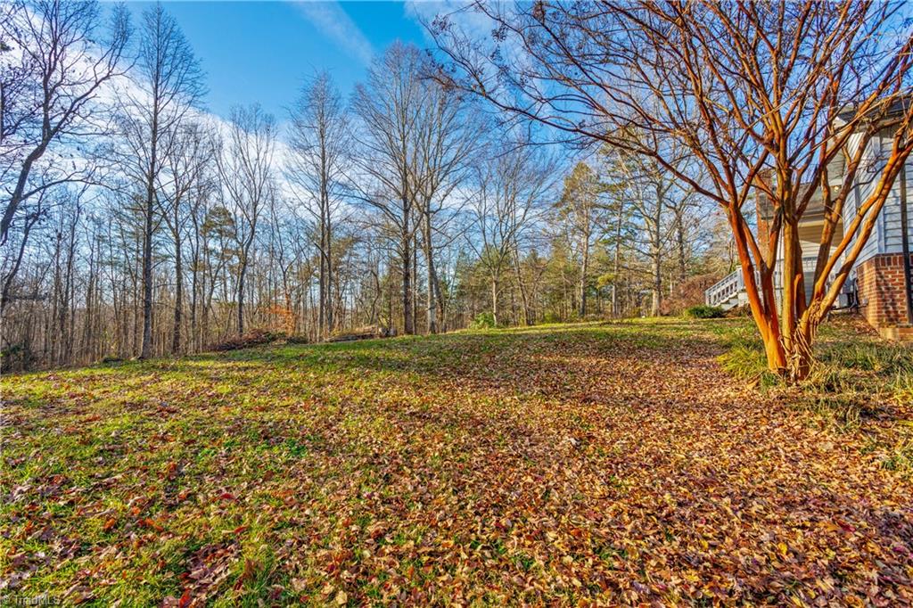 192 Tom Hunter Road Pilot Mountain, NC 27041 - Photo 5 of 29 Gallery Image 5