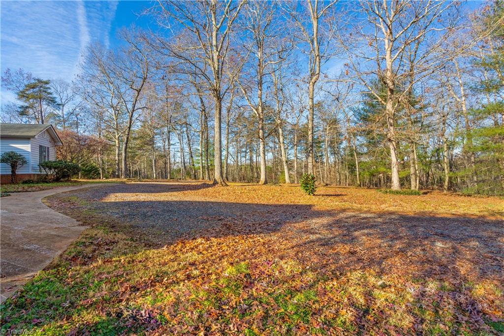 192 Tom Hunter Road Pilot Mountain, NC 27041 - Photo 6 of 29 Gallery Image 6