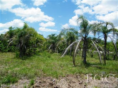 11561 Shawnee Road Fort Myers, FL 33913 - Photo 10 of 10 a view of a yard
