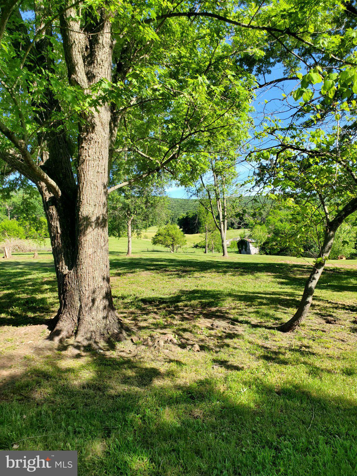 7881 Ford Hill Road Rio, WV 26755 - Photo 2 of 27 Serene countryside under vibrant trees.
