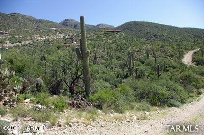 12161 East Coronado Road Tucson, AZ 85749 - Photo 1 of 11 Gallery Image 1