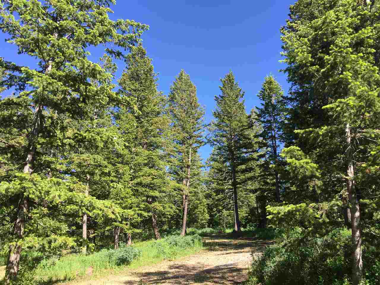 Lot 119 High Pine Ridge Road Arimo, ID 83214 - Photo 1 of 1 Gallery Image 1