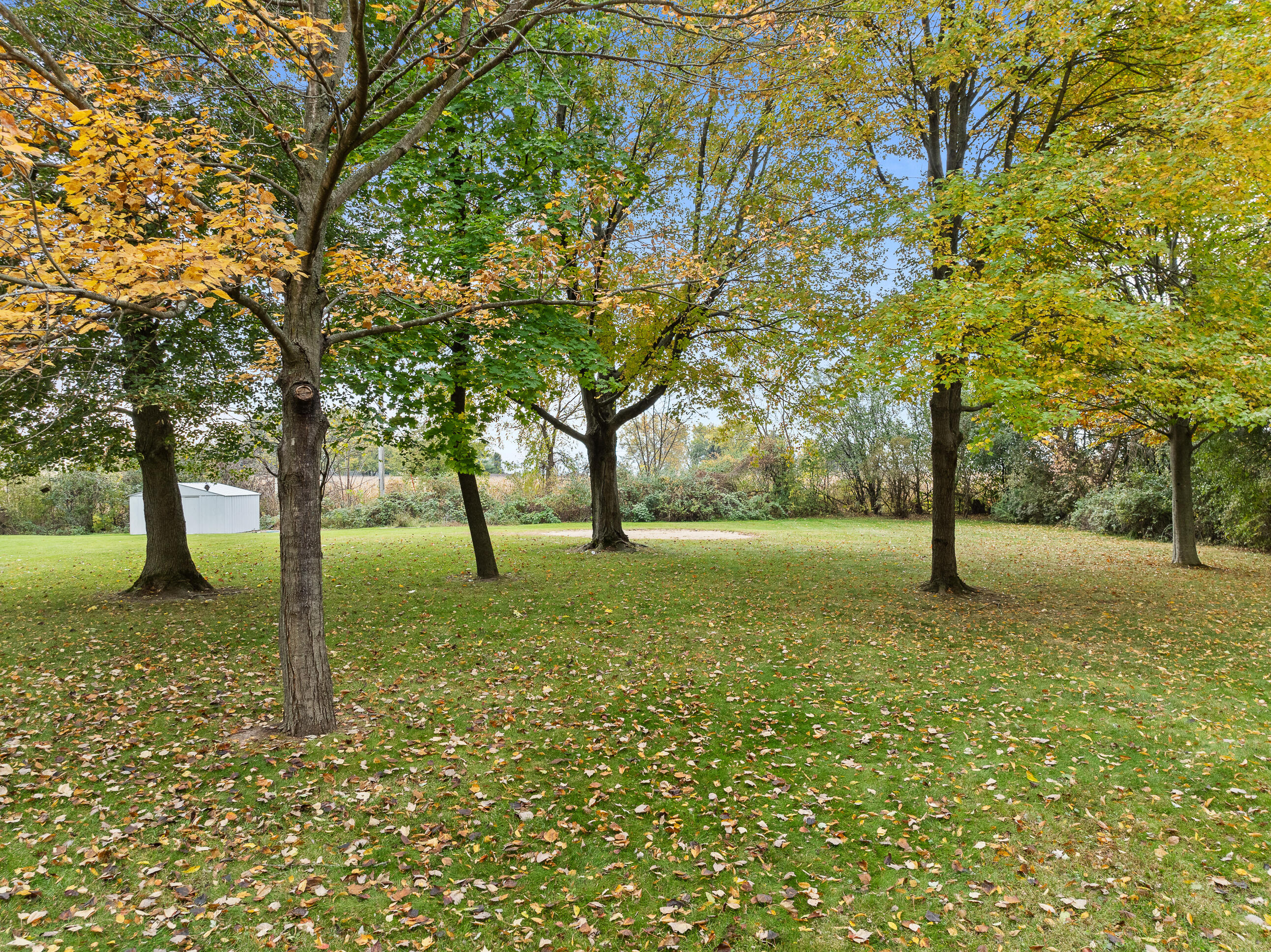 3345 County Rd F South Delavan, WI 53115 - Photo 38 of 45 38. Back Yard with Garden Shed