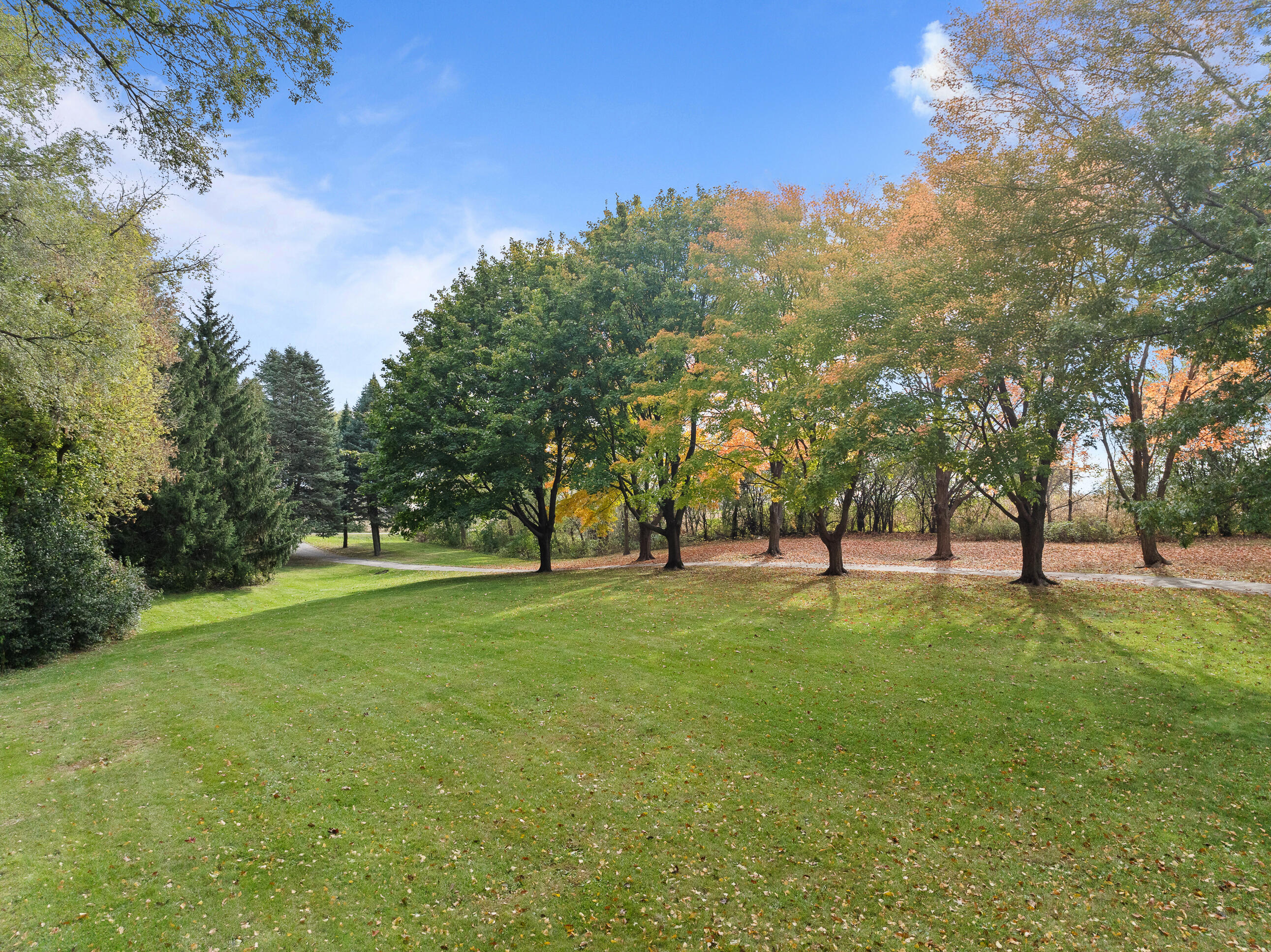 3345 County Rd F South Delavan, WI 53115 - Photo 41 of 45 41. Tree Lined Driveway