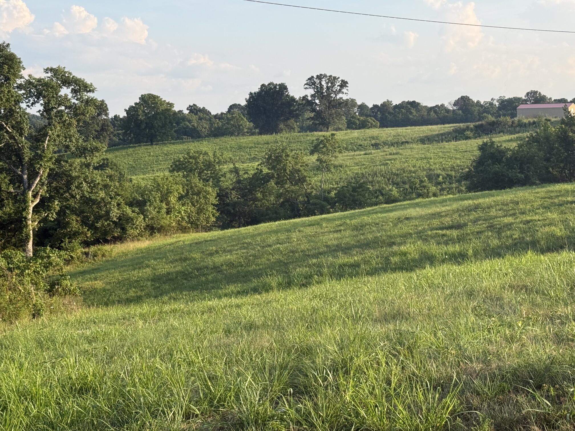 0 Renaker-Berry Road Berry, KY 41003 - Photo 26 of 32 IMG_3129