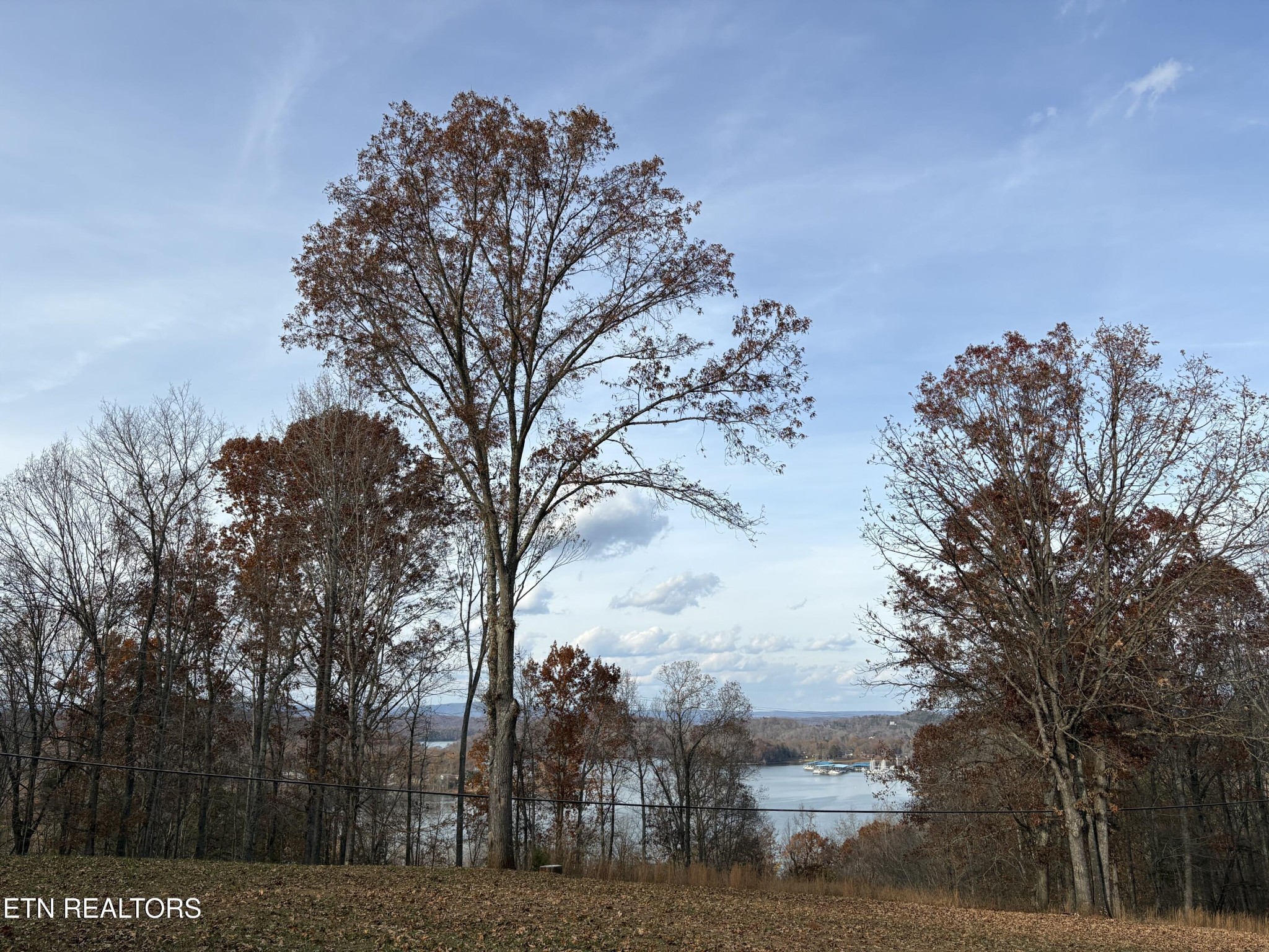 136 Hillview Road Ten Mile, TN 37880 - Photo 3 of 34 a view of a city with lots of trees