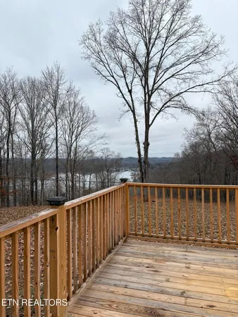 a view of a balcony with a large tree