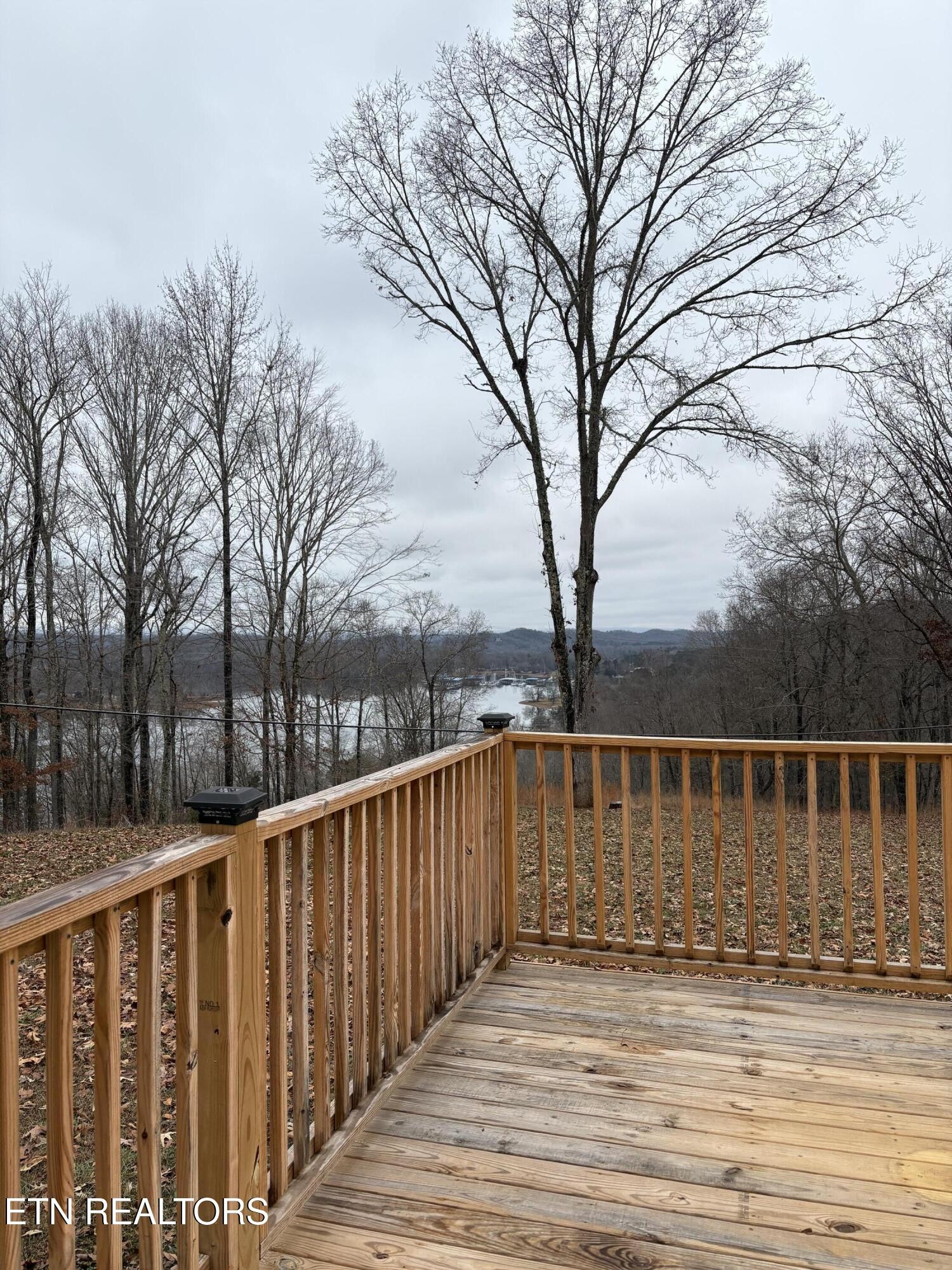 136 Hillview Road Ten Mile, TN 37880 - Photo 31 of 34 a view of a balcony with a large tree