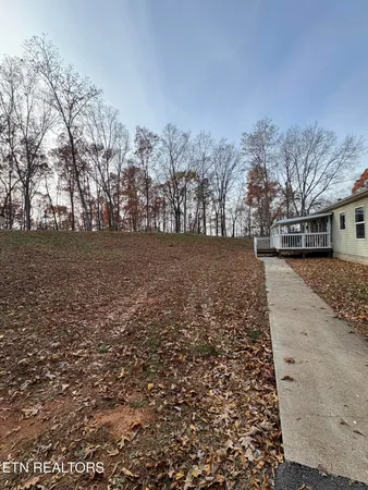 a view of yard with trees