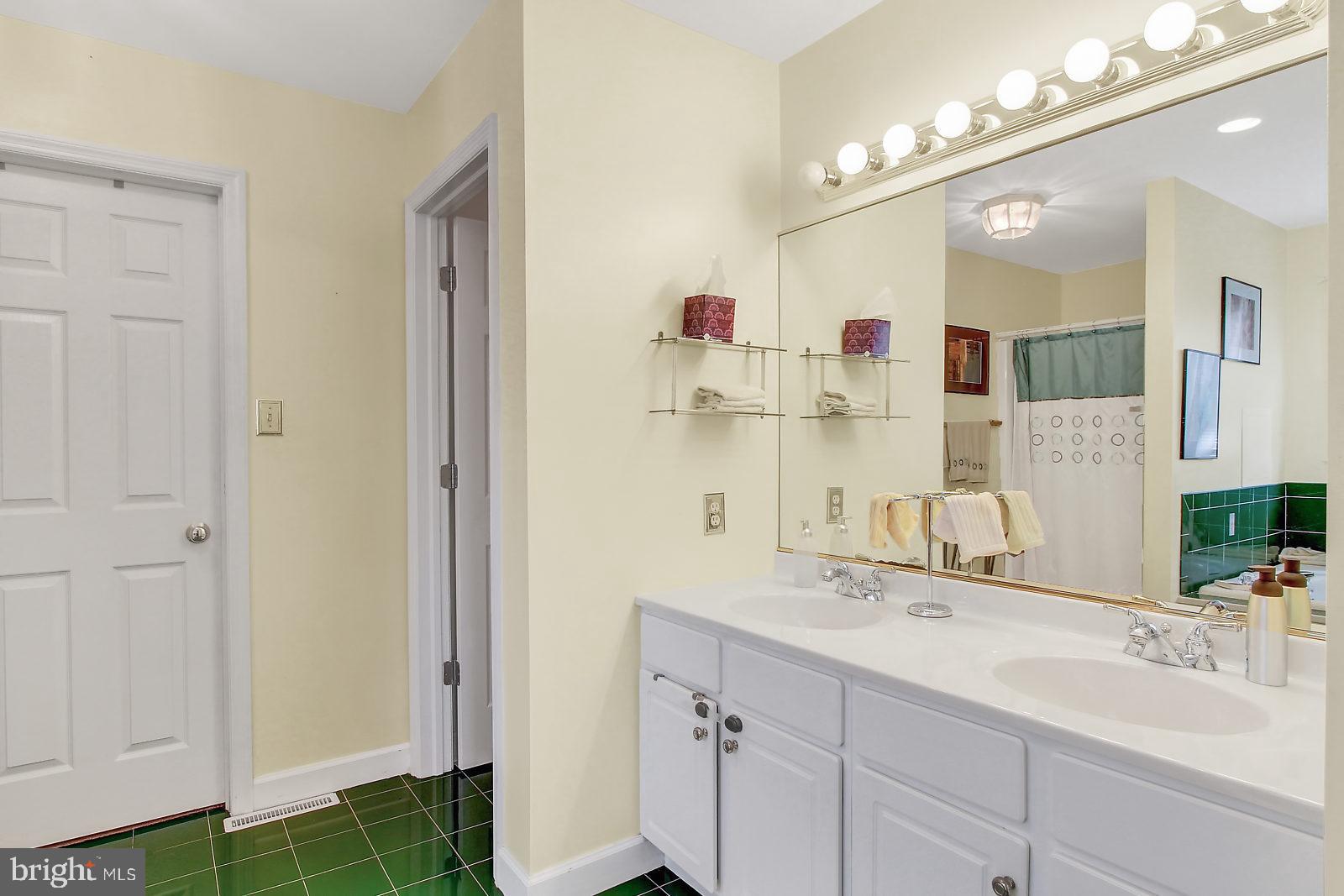 109 Atlantic Avenue Sinking Spring, PA 19608 - Photo 13 of 25 a bathroom with a sink double vanity and a mirror