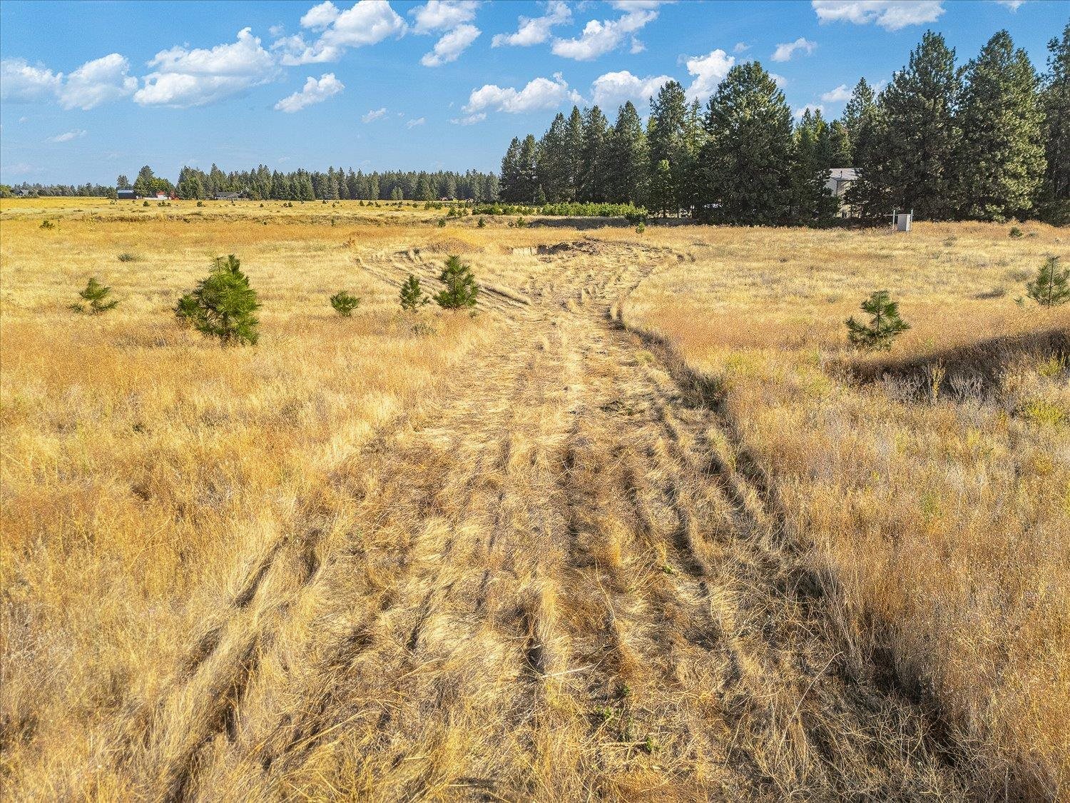 1702 West Monroe Road Colbert, WA 99005 - Photo 4 of 17