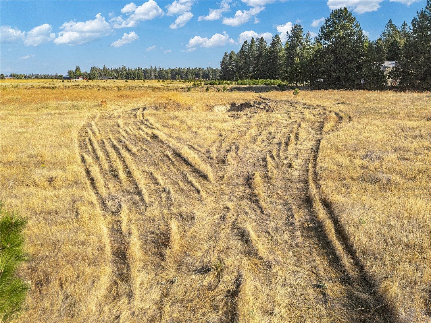 1702 West Monroe Road Colbert, WA 99005 - Photo 5 of 17