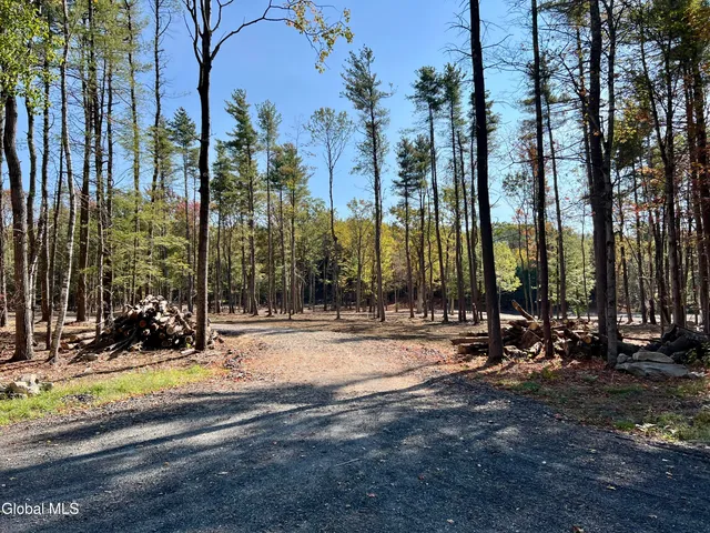 $239,000 | L12 Cr 353 Rensselaerville Ny 12147, Rensselaerville, NY 12147