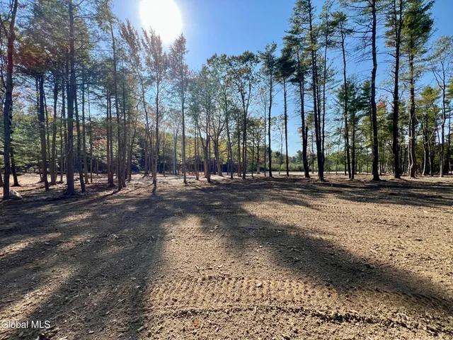 $239,000 | L12 Cr 353 Rensselaerville Ny 12147, Rensselaerville, NY 12147