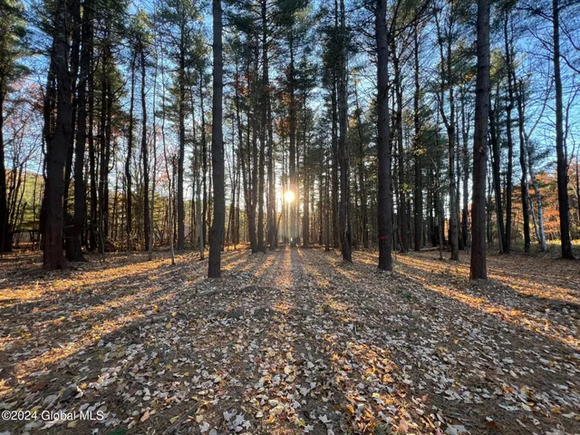 $239,000 | L12 Cr 353 Rensselaerville Ny 12147, Rensselaerville, NY 12147