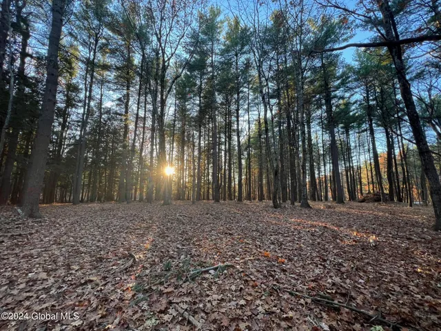 $239,000 | L12 Cr 353 Rensselaerville Ny 12147, Rensselaerville, NY 12147