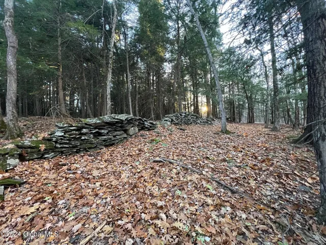 $239,000 | L12 Cr 353 Rensselaerville Ny 12147, Rensselaerville, NY 12147