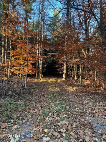 $239,000 | L12 Cr 353 Rensselaerville Ny 12147, Rensselaerville, NY 12147