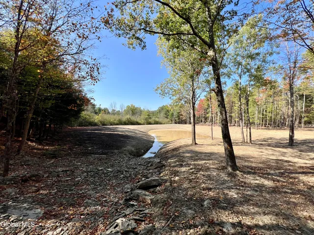 $239,000 | L12 Cr 353 Rensselaerville Ny 12147, Rensselaerville, NY 12147