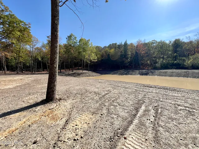 $239,000 | L12 Cr 353 Rensselaerville Ny 12147, Rensselaerville, NY 12147