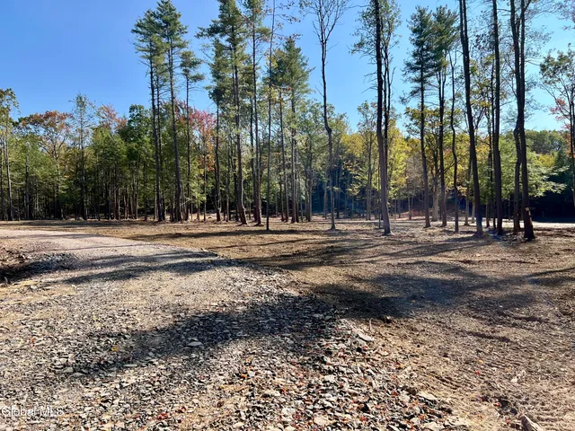 $239,000 | L12 Cr 353 Rensselaerville Ny 12147, Rensselaerville, NY 12147