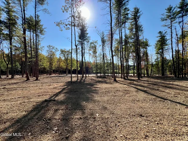 $239,000 | L12 Cr 353 Rensselaerville Ny 12147, Rensselaerville, NY 12147