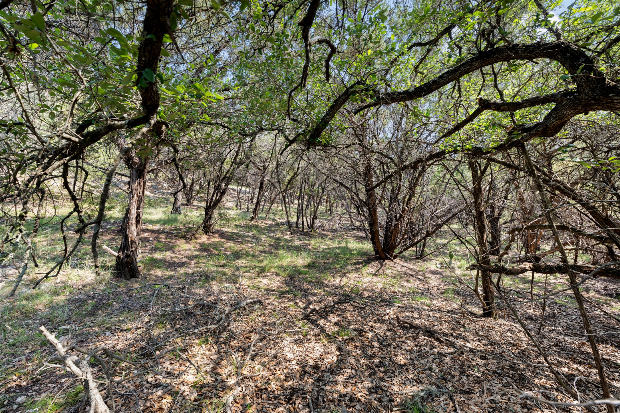 21105 Ridgeview Road Lago Vista, TX 78645 - Photo 28 of 34 Mature trees and natural ground cover define this tranquil, wooded property.