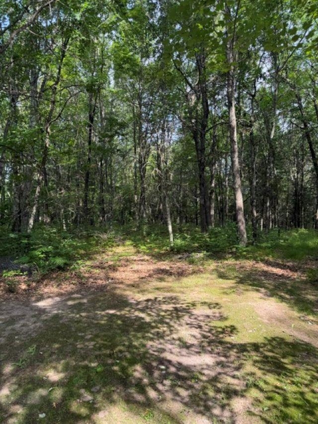 W8895 Co Road Stephenson, MI 49887 - Photo 21 of 31