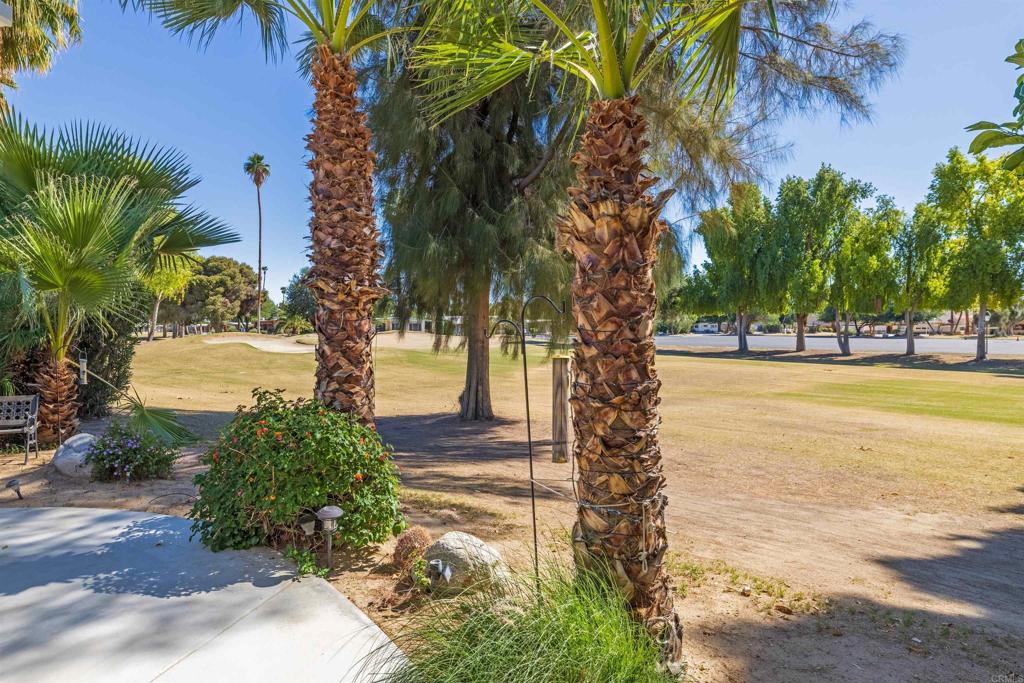 1010 Palm Canyon Drive, Unit 168 Borrego Springs, CA 92004 - Photo 27 of 34 a view of a yard with palm tree