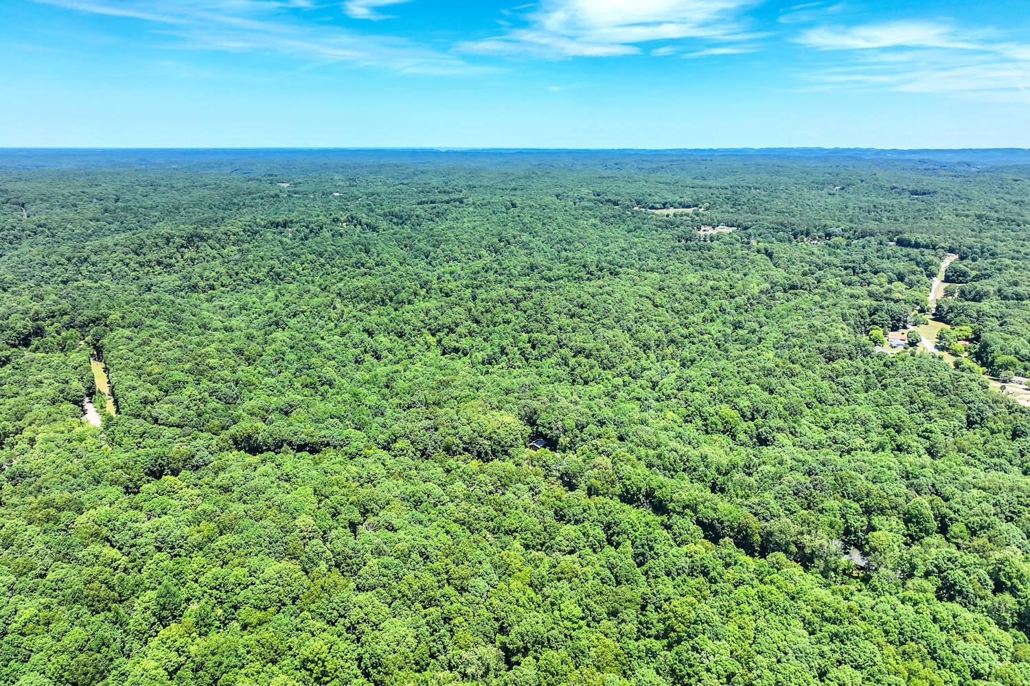 5536 Boy Scout Road Franklin, TN 37064 - Photo 56 of 61 a view of a lush green space with sea