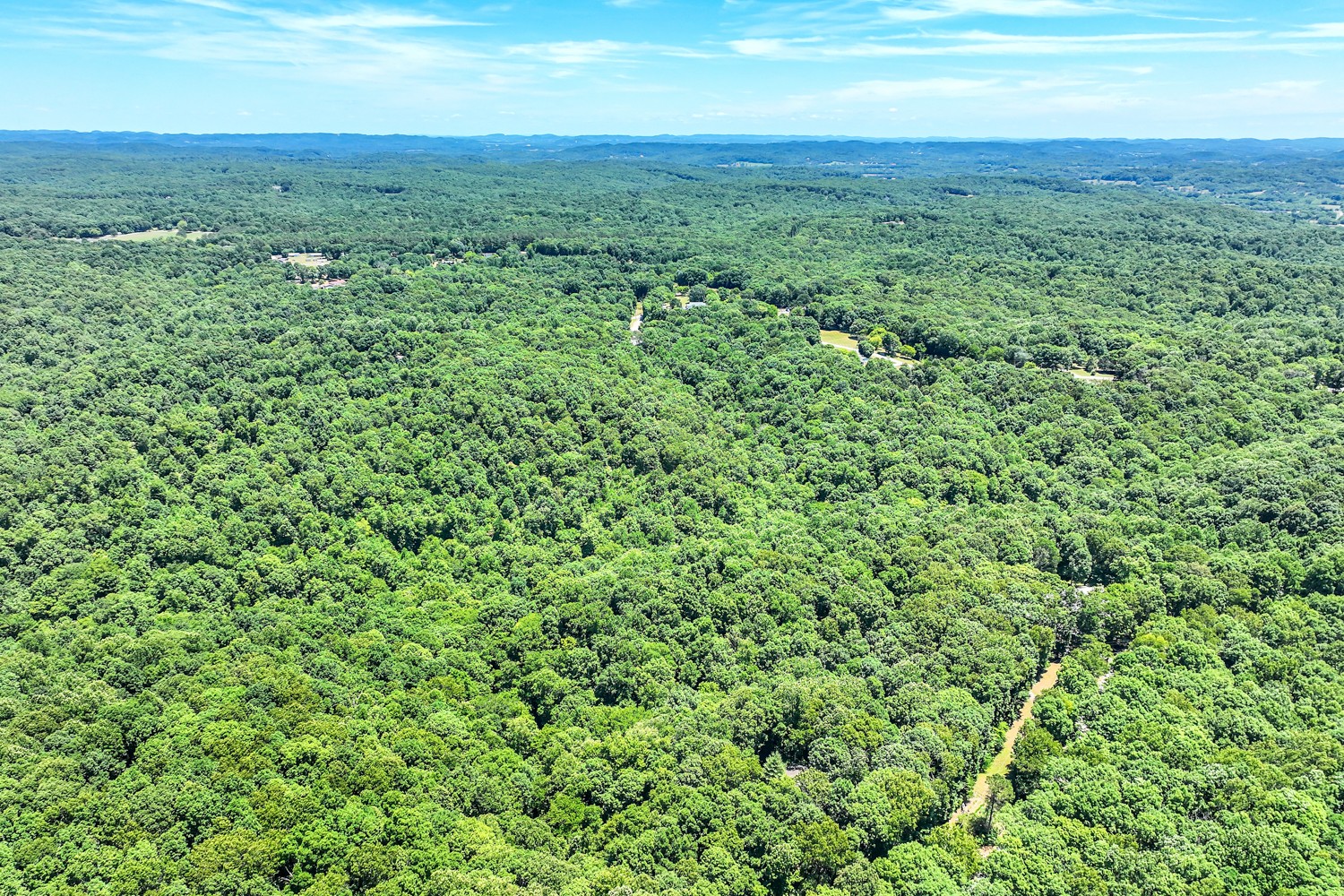 5536 Boy Scout Road Franklin, TN 37064 - Photo 57 of 61 a view of a green field with lots of bushes