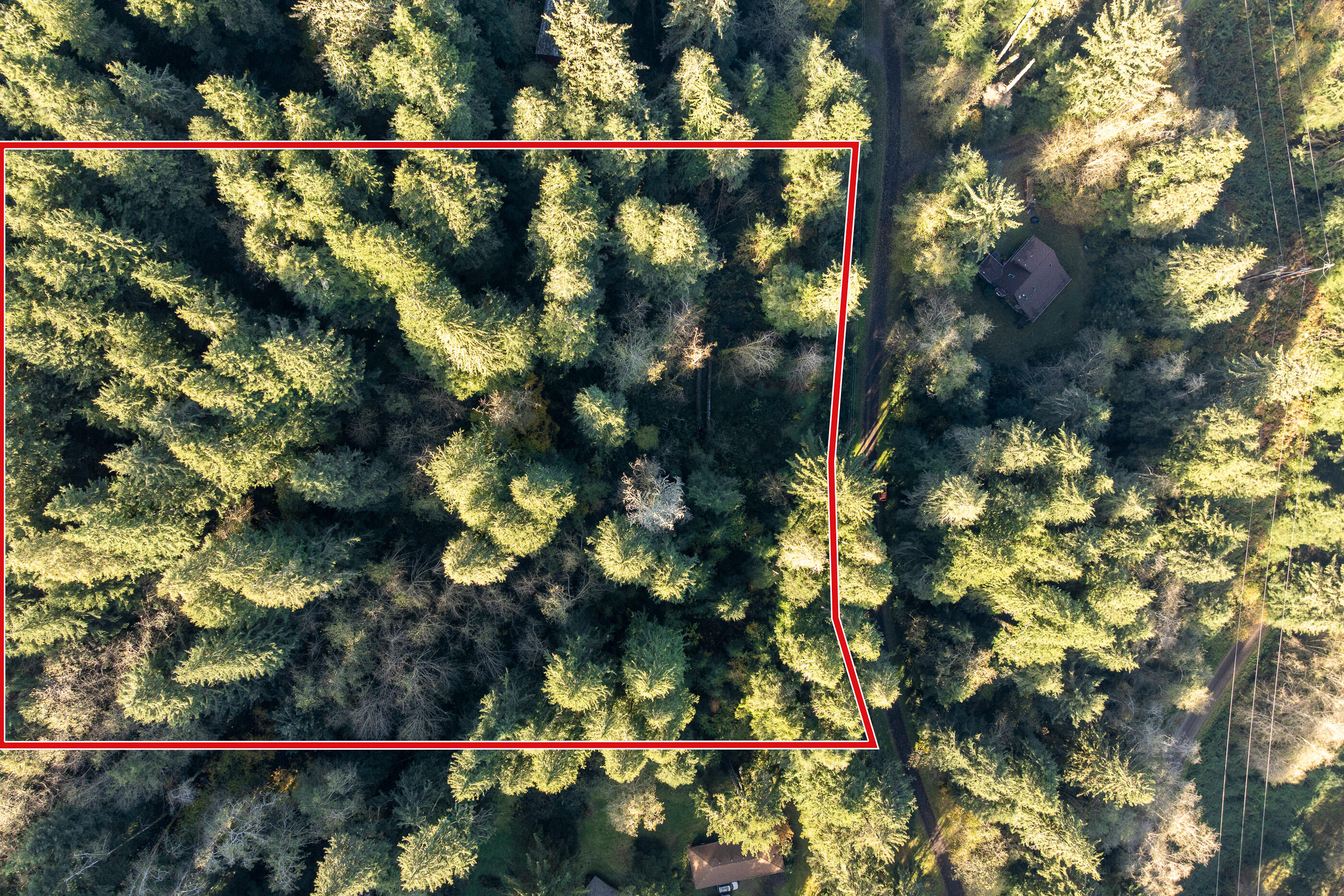 01000 Katherine Lane Nehalem, OR 97131 - Photo 11 of 13 Katherine-7-Walsh-River_Bend_Lot-030-Bro