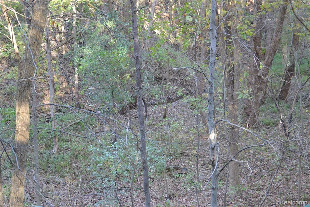 660 Birch Tree Court Rochester, MI 48306 - Photo 3 of 38 03 - Backs to Woods & Creek.JPG