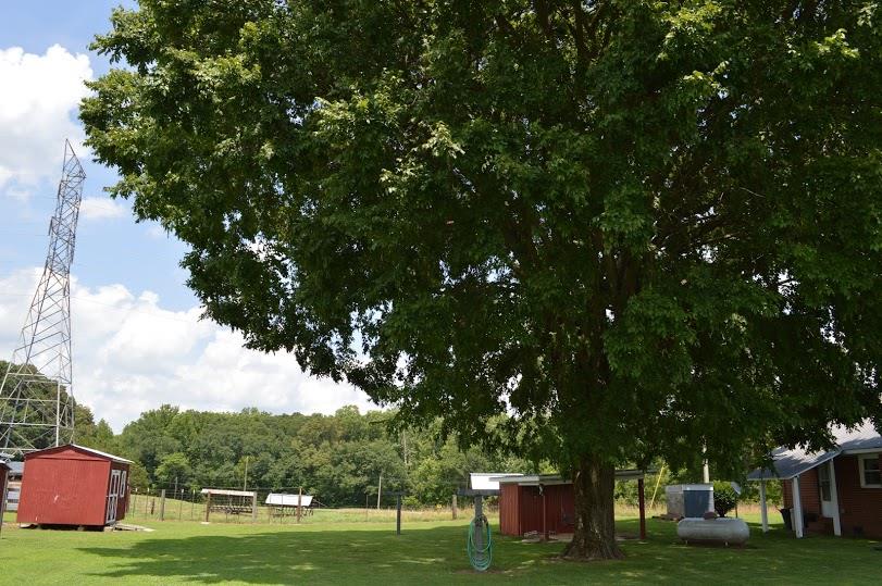 1087 Beth Page Road Estill Springs, TN 37330 - Photo 20 of 30 Gallery Image 20