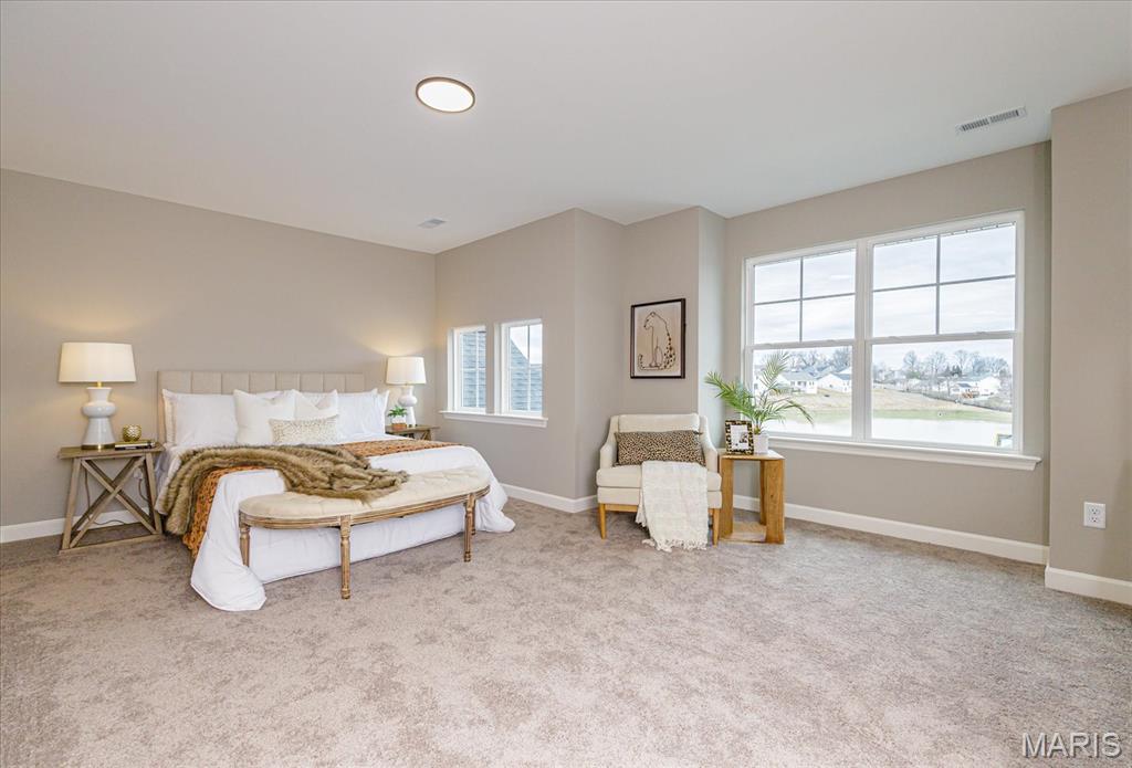 1 Tbb Wyndham @ Sulphur Spring Manchester, MO 63021 - Photo 22 of 33