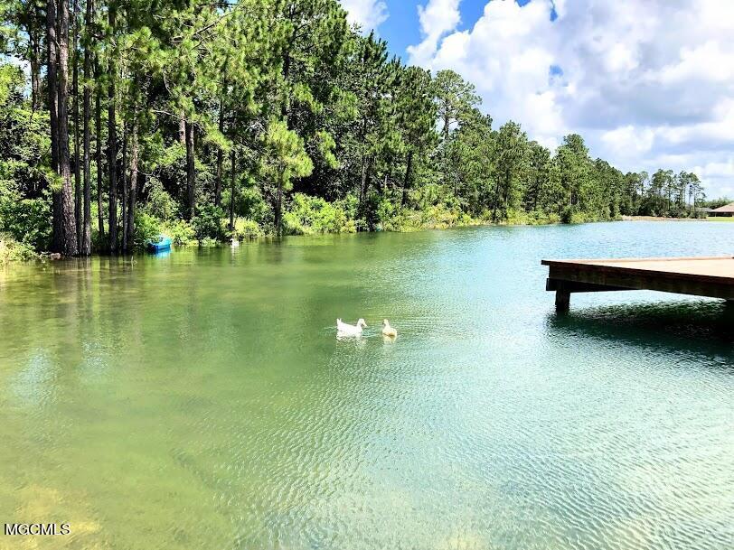 6234 Roxanne Way Biloxi, MS 39532 - Photo 21 of 28 Community lake 3