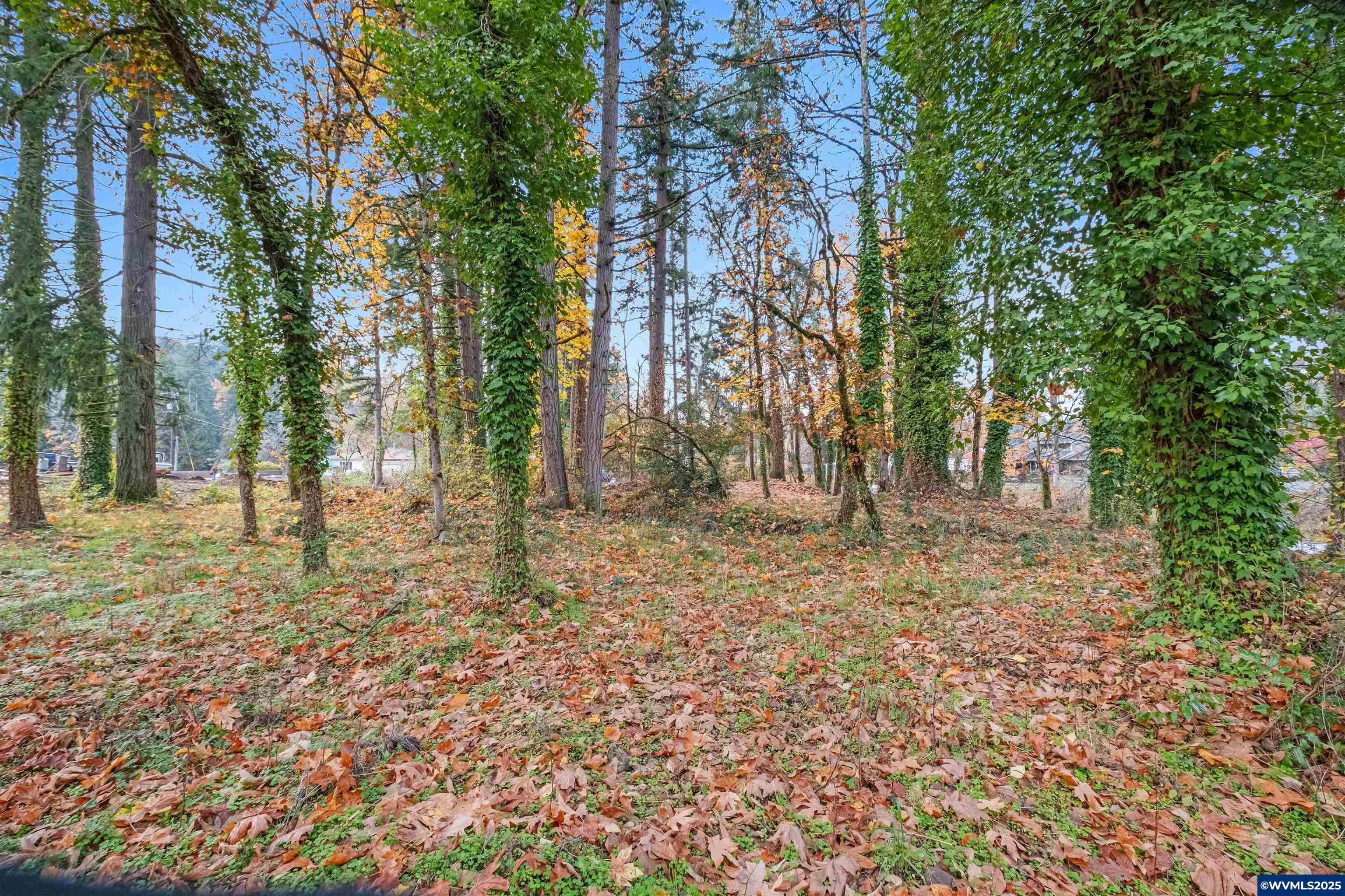 17857 South Abiqua Road Northeast Silverton, OR 97381 - Photo 5 of 5